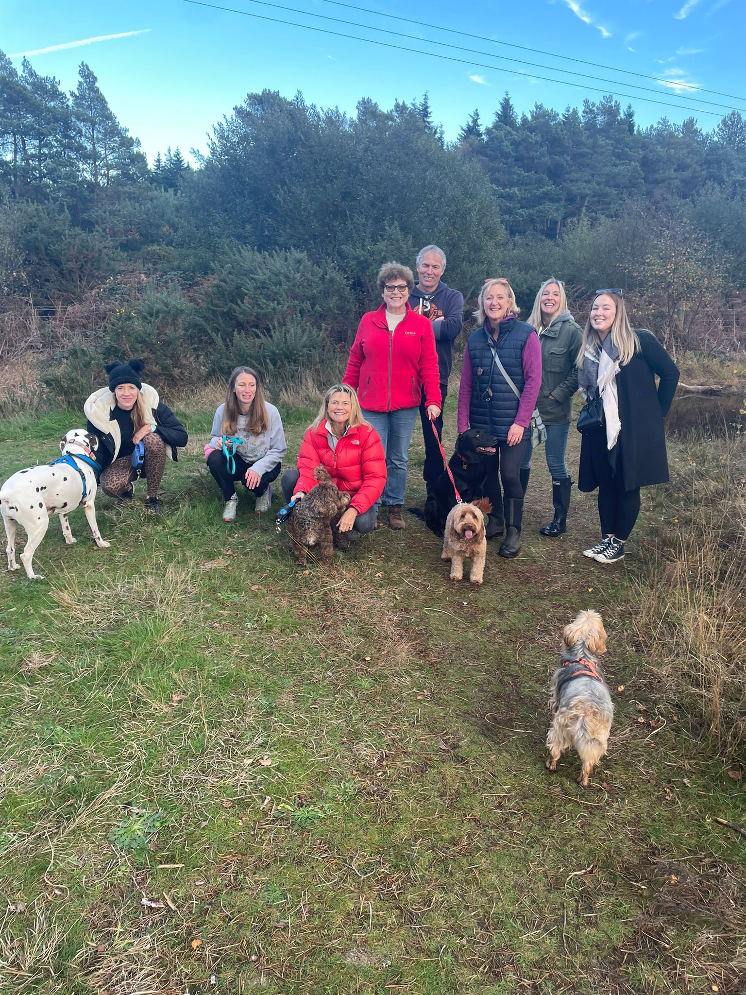 Open & Free for all!